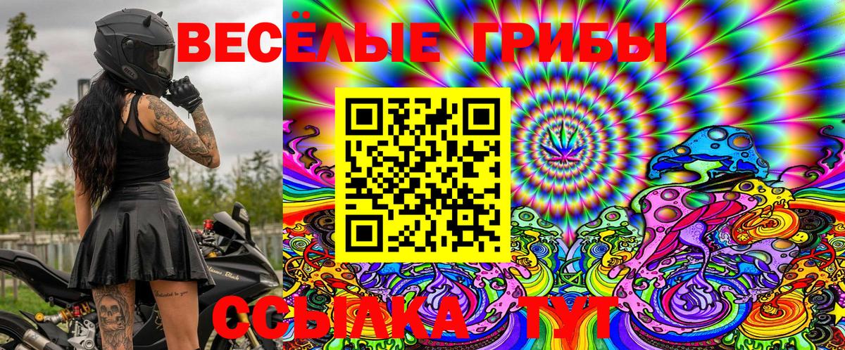 Кубинка  Галлюциногенные грибы Psilocybe  Вход с VPN 