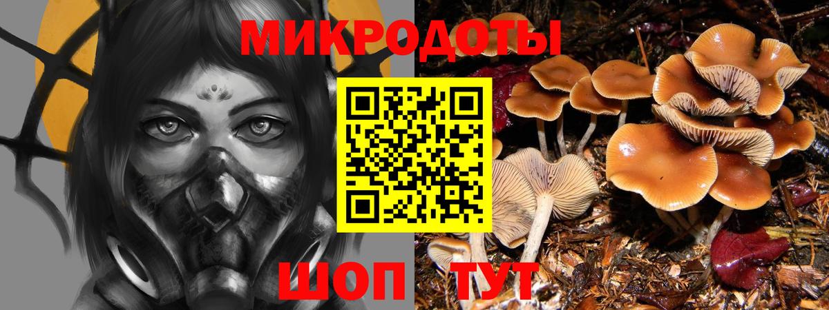 Галлюциногенные грибы мицелий Кубинка